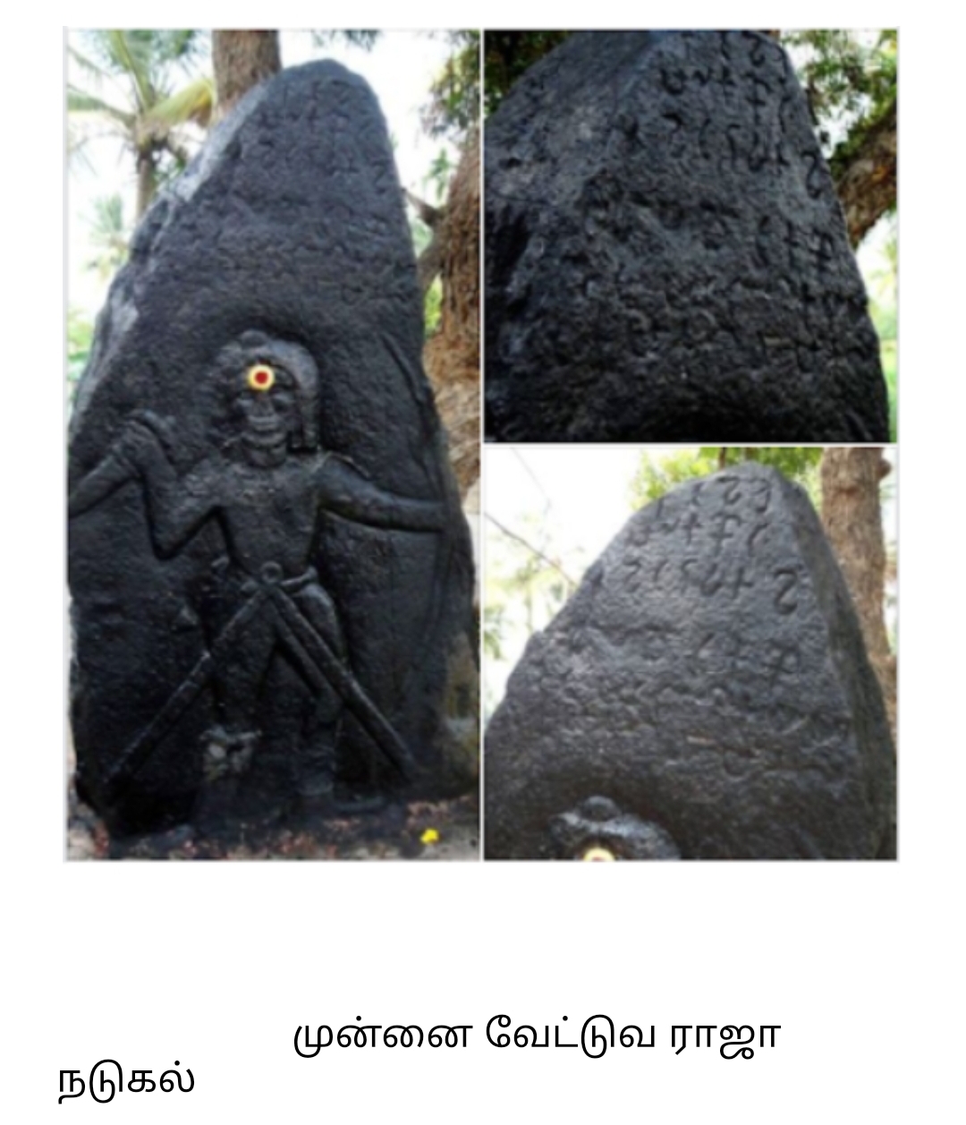 வேட்டுவர் குடியை சேர்ந்த நடுகற்கள்   ...